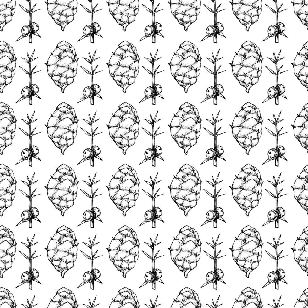zwart-wit naadloos botanisch patroon. hand getekende bloemen illustratie. vector