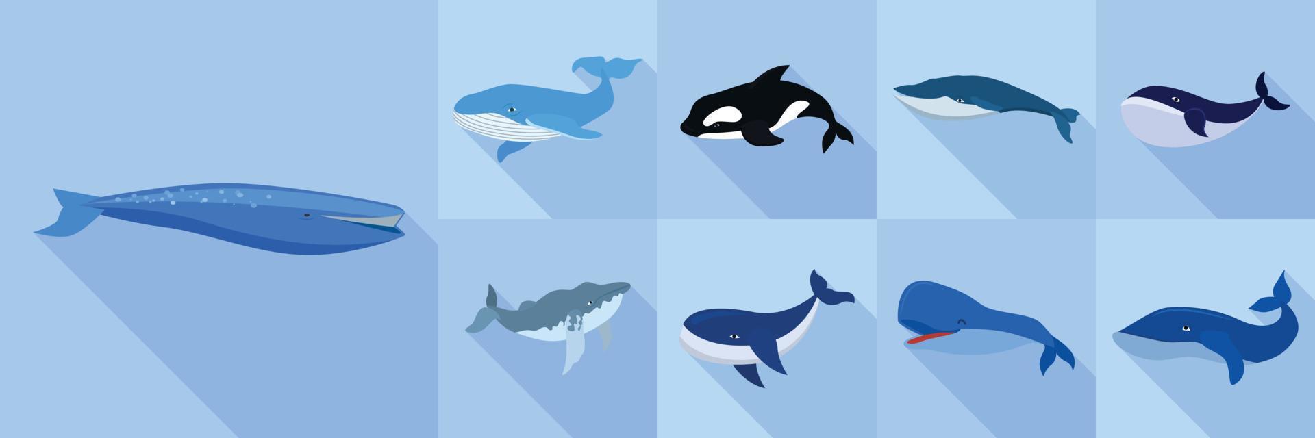 walvis pictogrammenset, vlakke stijl vector