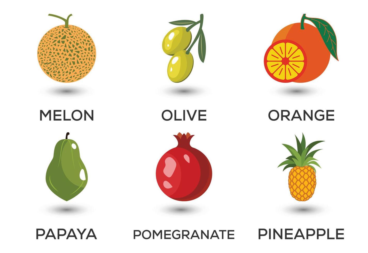 set van fruit. verschillende kleurrijke vruchten. vers voedsel, gezond eetconcept. vector illustratie