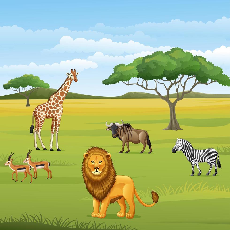 cartoon wild dier in de jungle vector