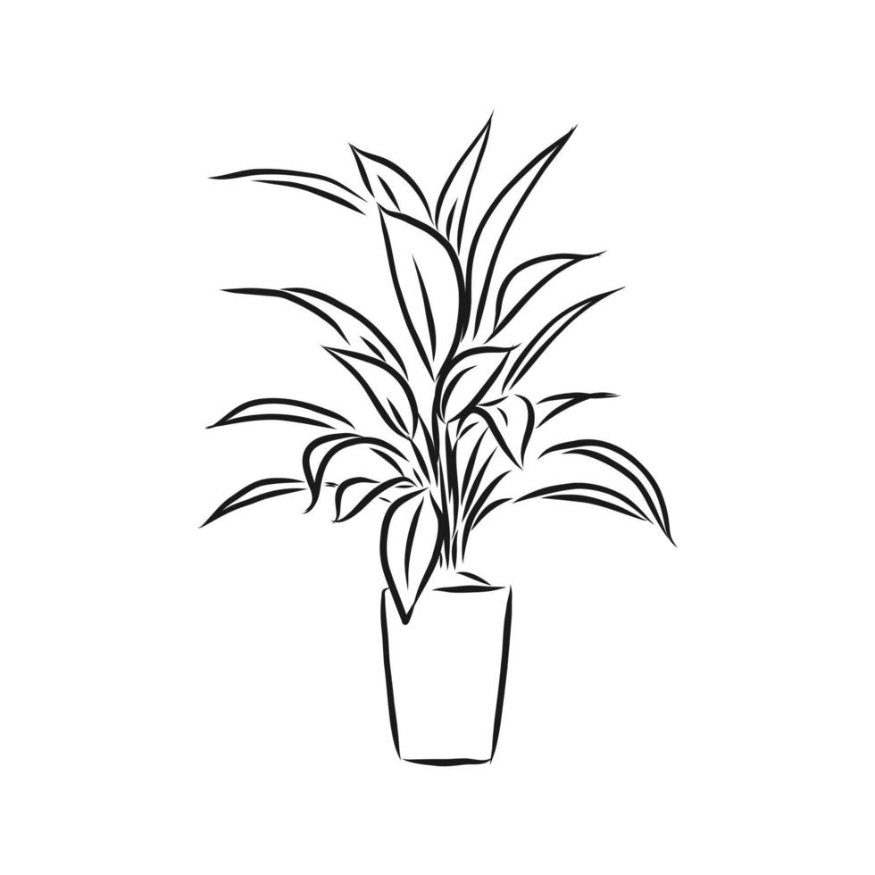 potplant vector schets
