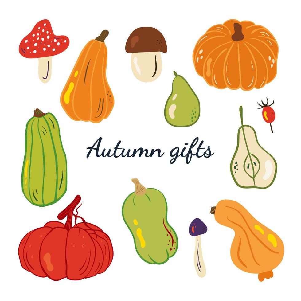 schattige herfst doodle set herfst geschenken met pompoenen, champignons, peer en rosehip.vector illustratie voor wenskaarten, posters en seizoensgebonden ontwerp. vector