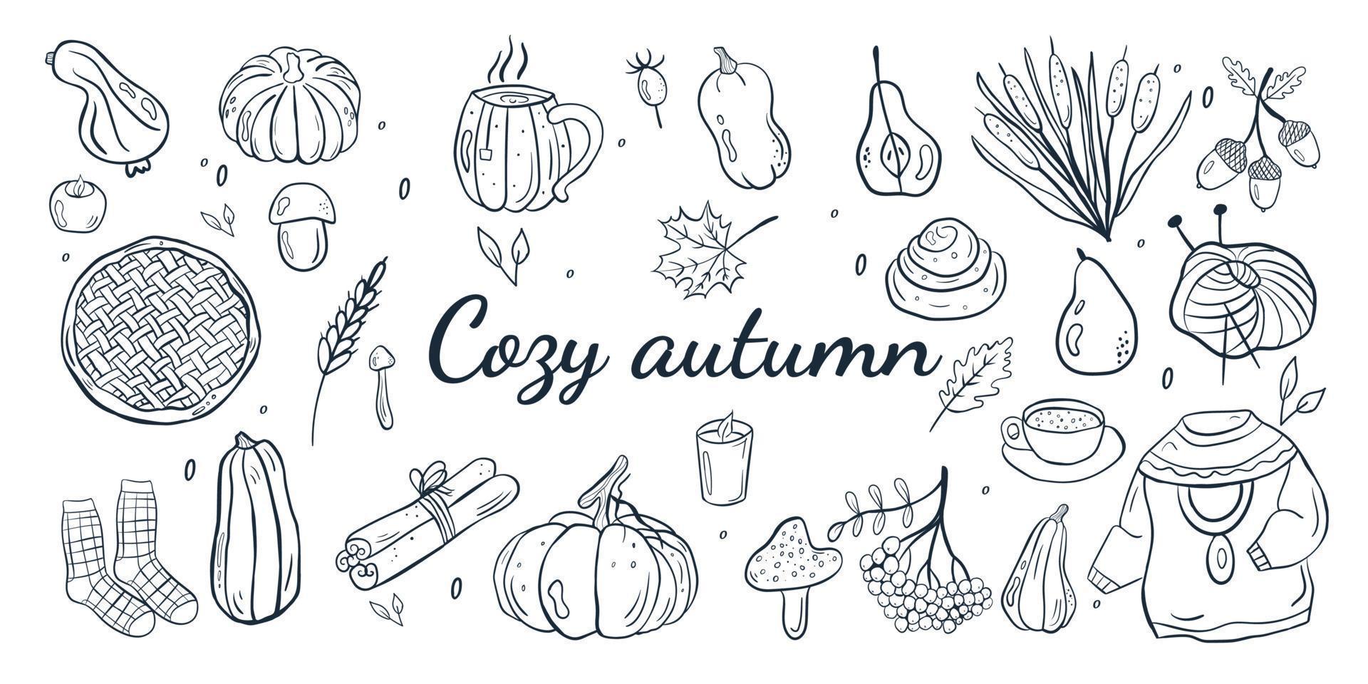 schattige herfst set doodles gezellige herfst met pompoenen, eikels, champignons, taart, peer, riet, sinabon, champignons, kaneel, trui, sokken. handgetekende vectorillustratie voor wenskaarten vector