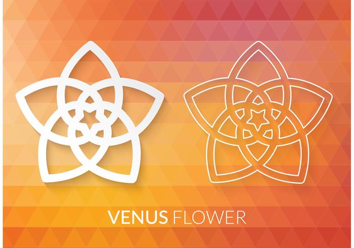 Gratis Vector Venus Flower Pentagram