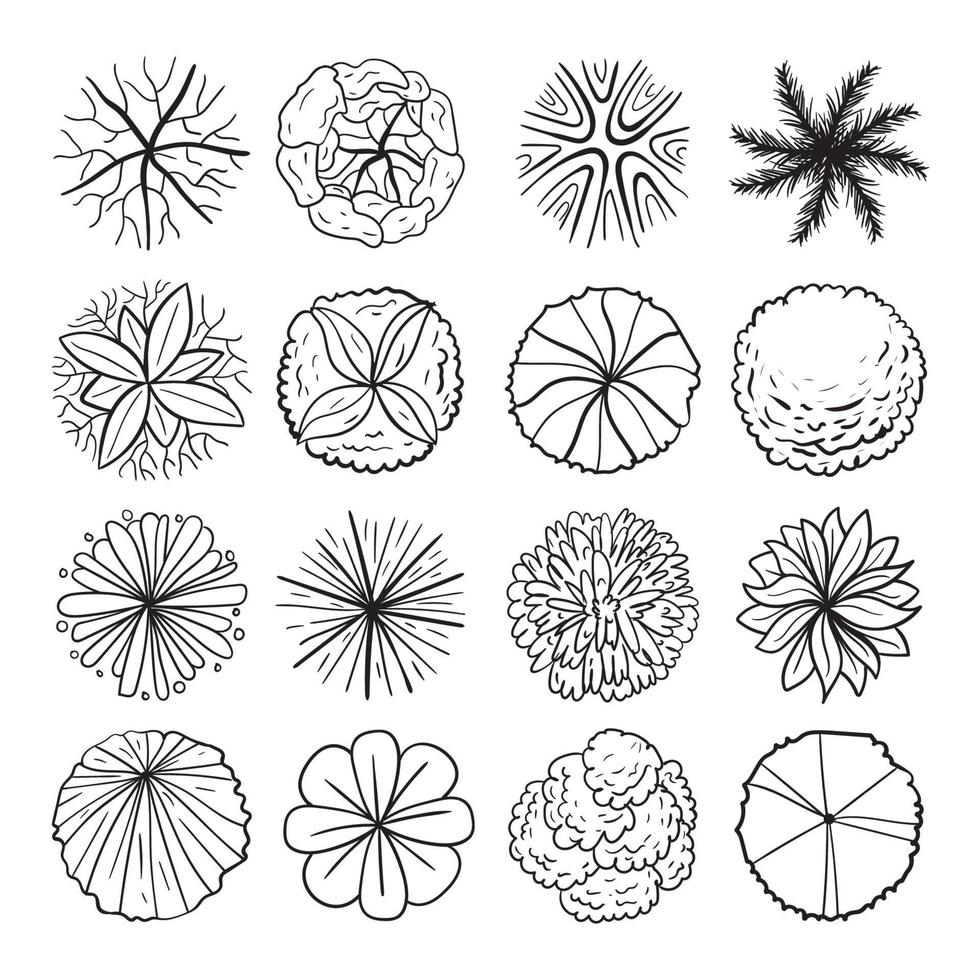 architectuur boomplan overzichtselement vector