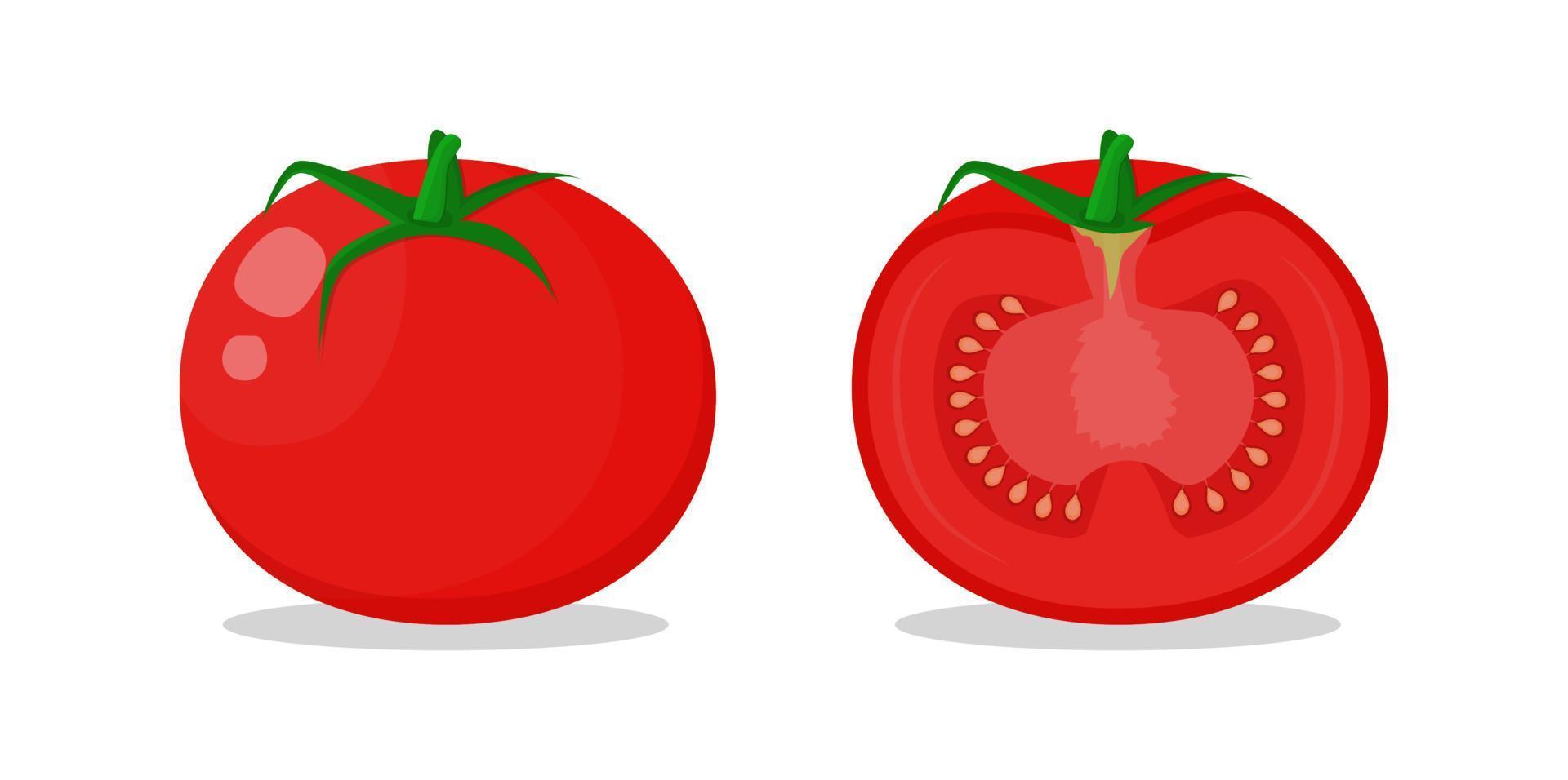 tomaat geheel en in tweeën gesneden vectorillustratie op een witte achtergrond vector