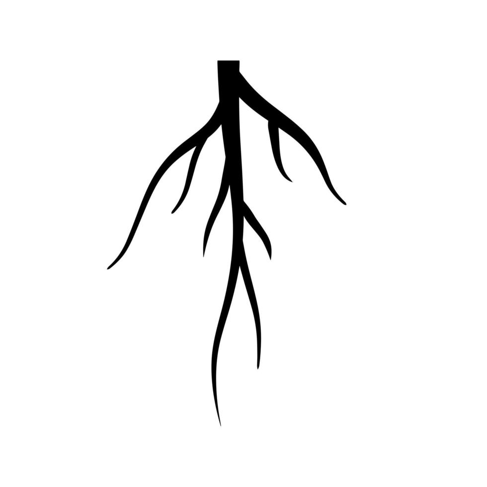 wortel. ondergronds deel van de plant. zwart pictogram. vector