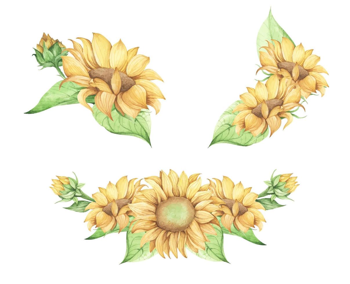 set van zonnebloem. aquarel bloemen illustratie. vector