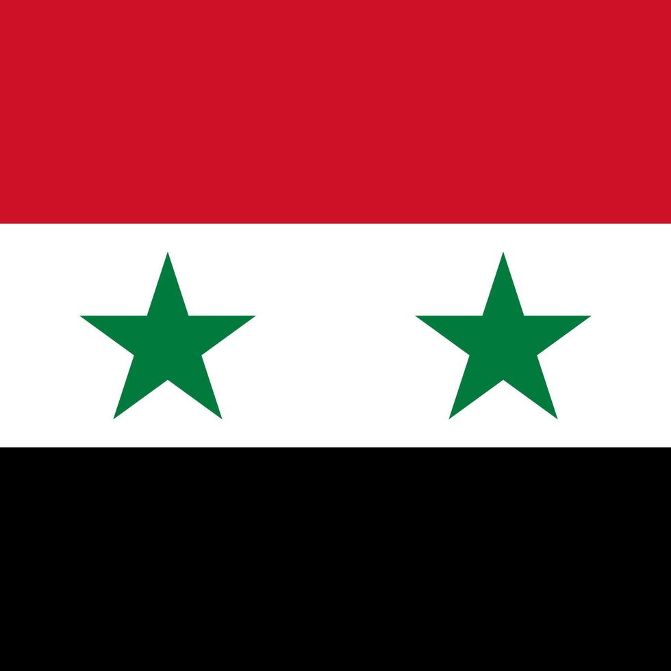 syrische vlag, officiële kleuren. vectorillustratie. vector