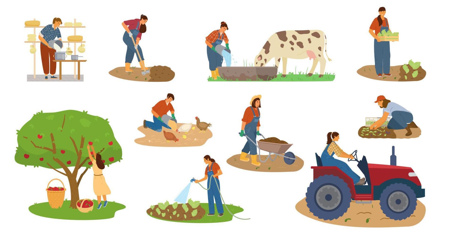 vector set vrouwelijke boeren werken. oogsten, graven, drenken, vee voeren, kaas maken, tractor rijden.