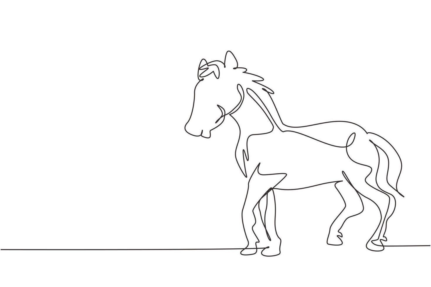 enkele doorlopende lijntekening trots wit paard loopt sierlijk met zijn voorhoef naar voren. wilde mustang galoppeert in de vrije natuur. gedomesticeerd paard. een lijn tekenen grafisch ontwerp vectorillustratie vector