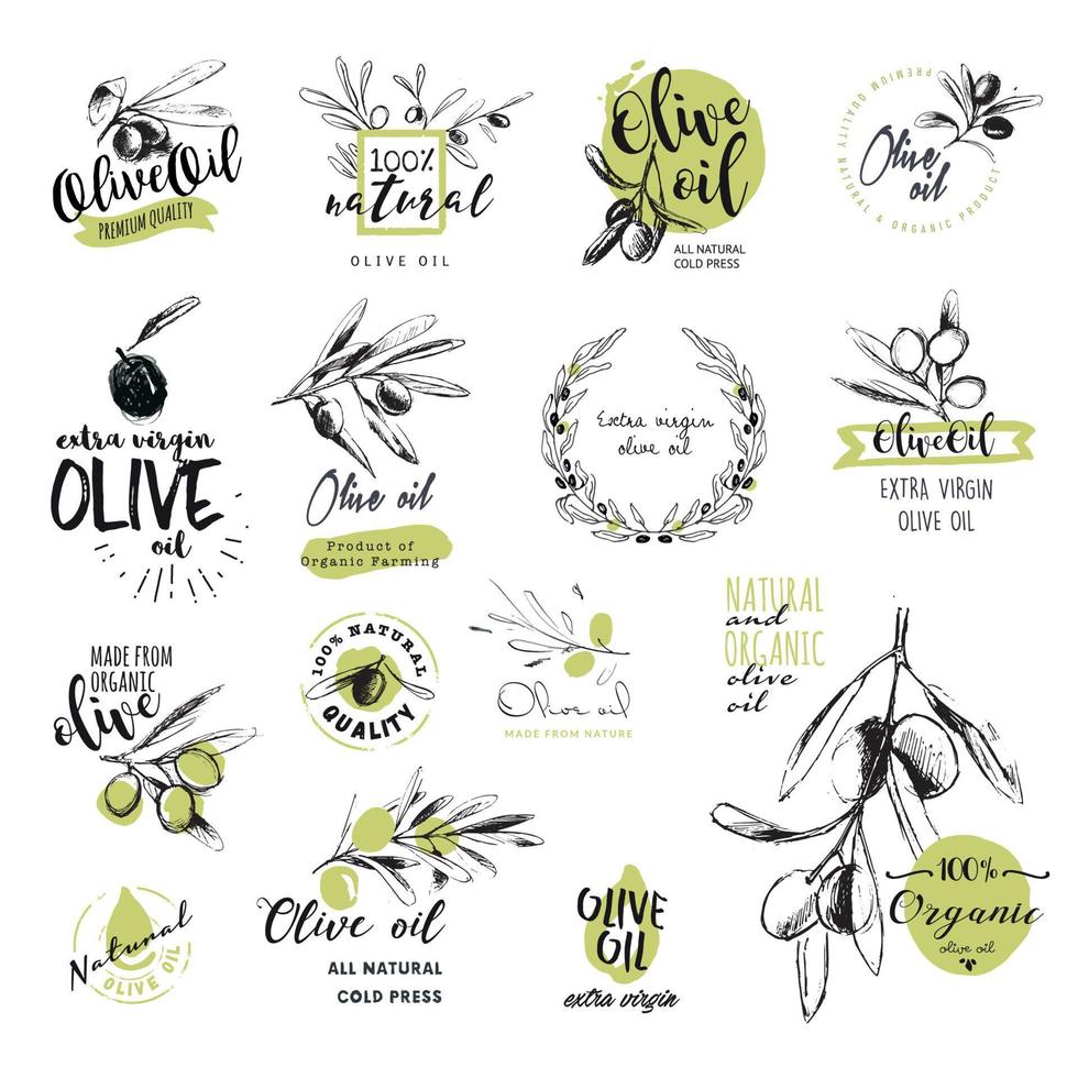 olijfolieset van handgetekende aquarelstickers en insignes van olijfolie. vectorillustraties voor olijfolie-etiketten, verpakkingsontwerp, natuurlijke producten, restaurant. vector