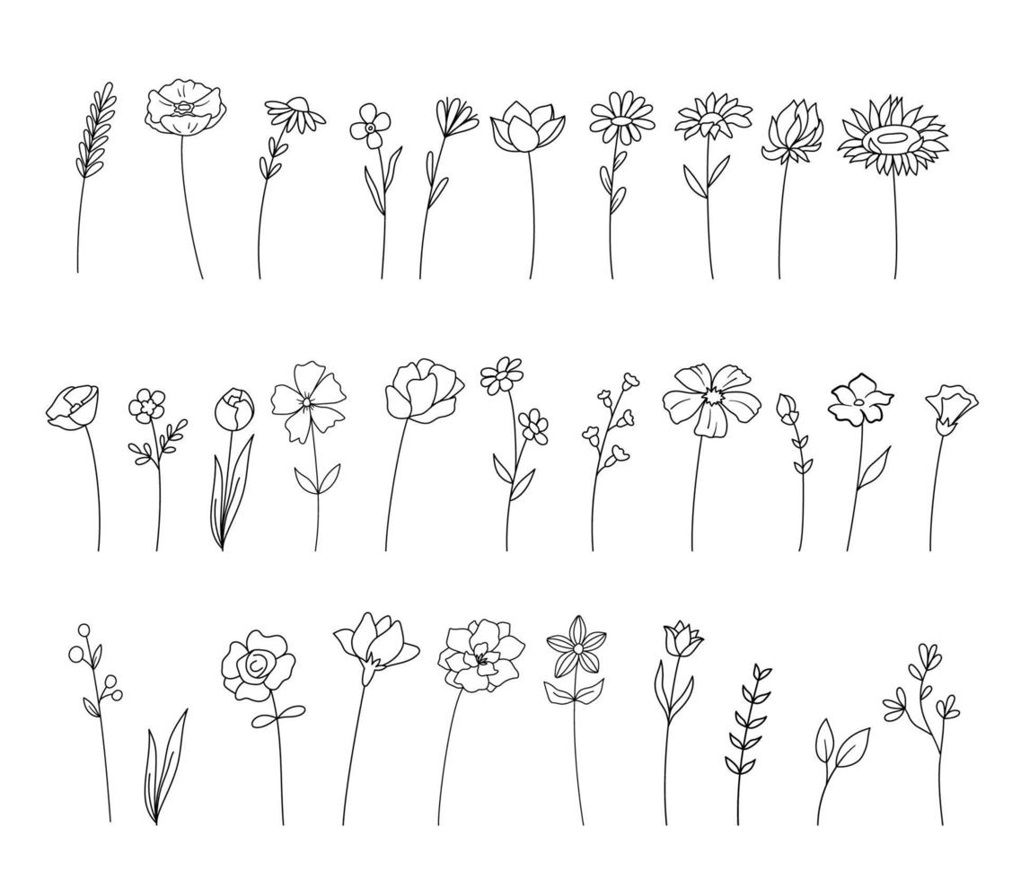 wilde bloemen en bloemen dunne lijn collectie, hand tekenen. set van geïsoleerde bloemen en planten in kaderstijl. verzameling van vector doodle illustratie geïsoleerd op wit