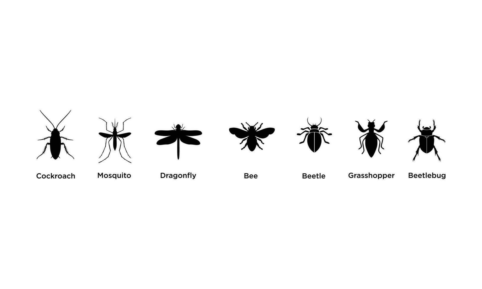 insectengroep, kakkerlak, mug, libel, bij, kever, kever, sprinkhaan vector