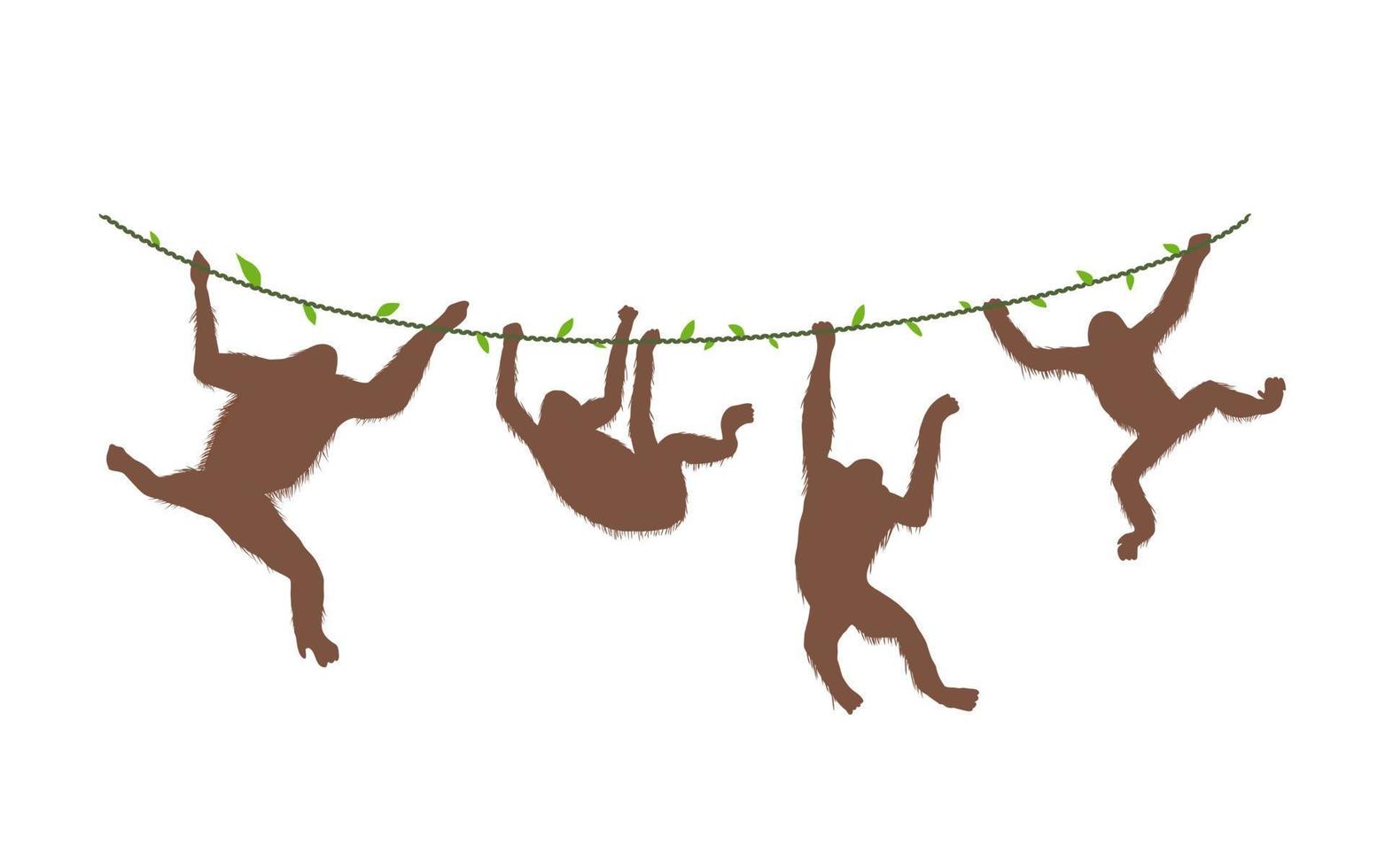 vier apen orang-oetan opknoping op de wijnstokken van boomtak platte vector silhouet illustratie