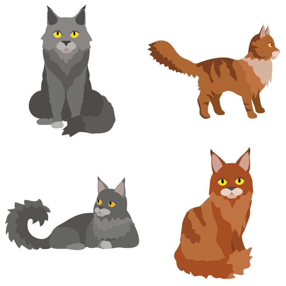 maine coon iconen set, vlakke stijl vector