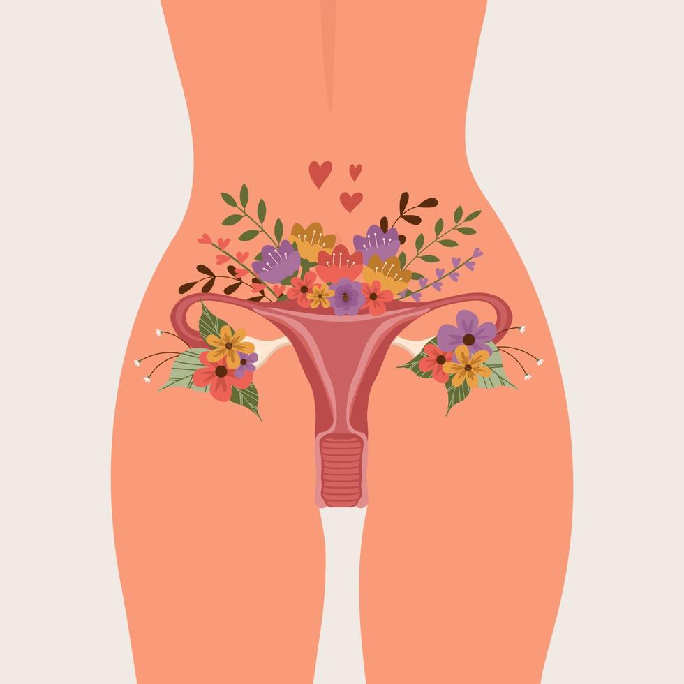 reproductieve illustratie van het lichaam, het bekken, de baarmoeder en de bloemen van een vrouw. vectorillustratie. vector