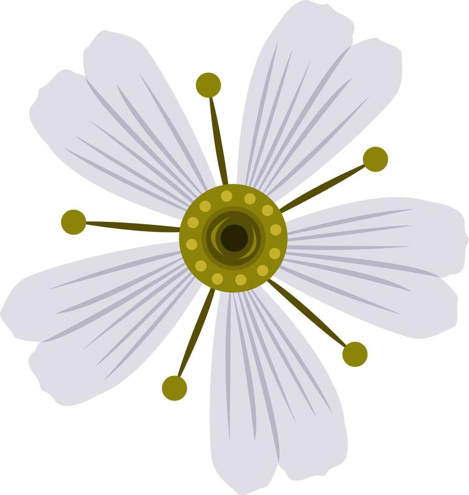 cerastium sneeuw in de zomer bloem vector kunst voor grafisch ontwerp en decoratief element