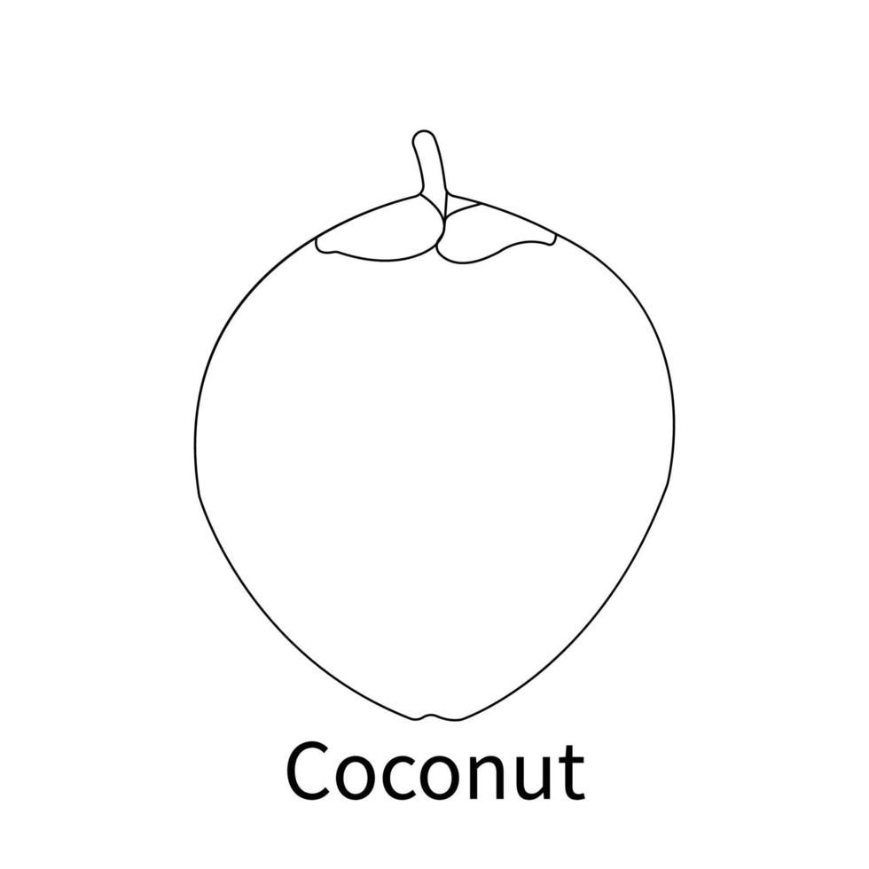 gemakkelijk fruit kleurplaten voor kinderen en peuter kokosnoot vector