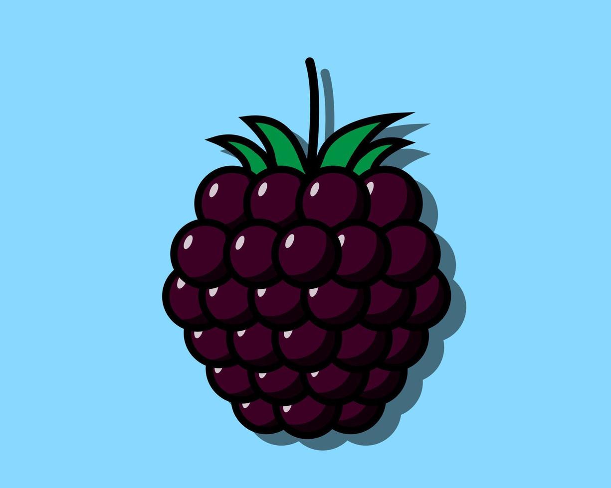 vectorillustratie framboos fruit pictogram plat ontwerp kleurrijk. vector