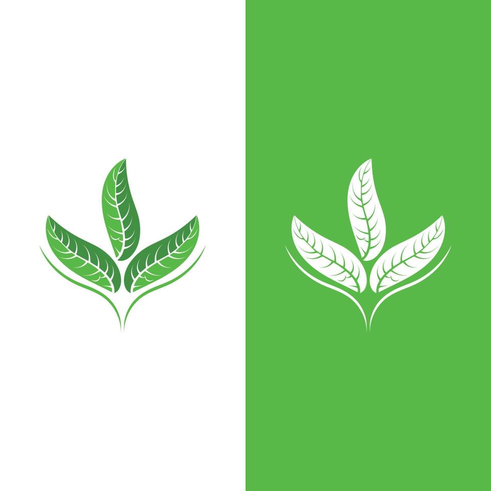 logo's van groene boom blad ecologie vector