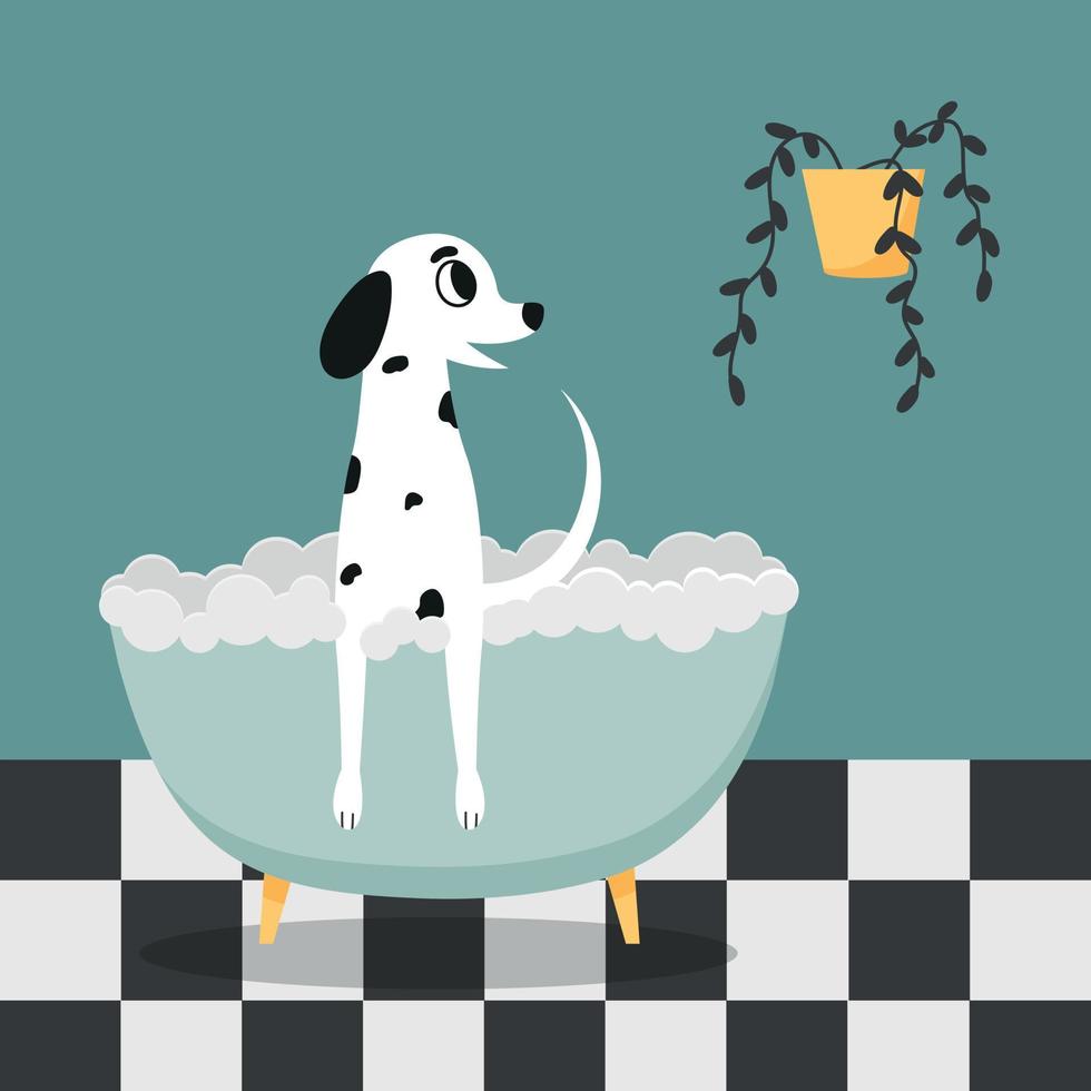 schattige honden die een douche nemen in de badkamer. vectorillustratie van de Dalmatiër. vector