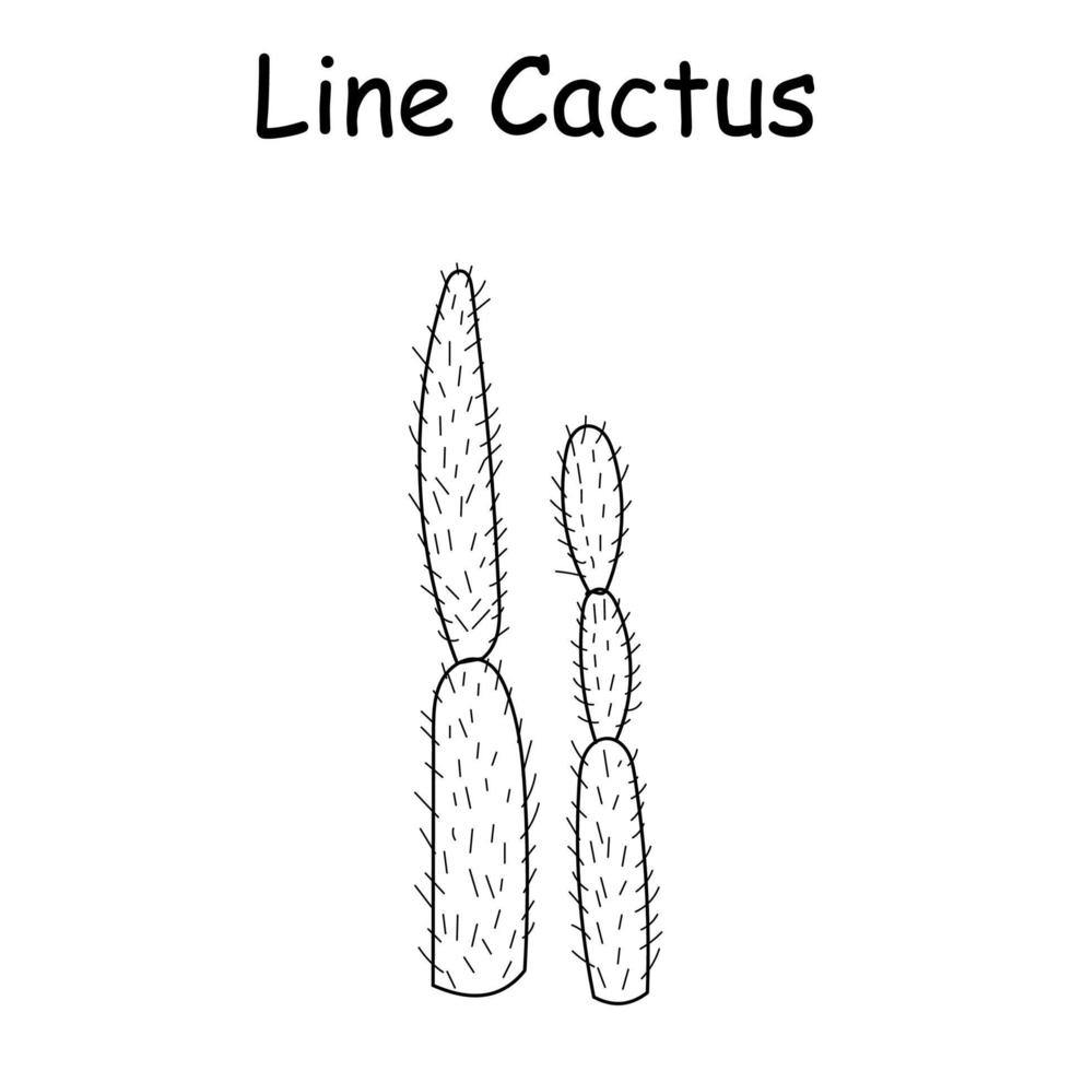 vector doodle illustratie van een cactus. handgetekende cactus. doodle lijn Mexicaanse cactus