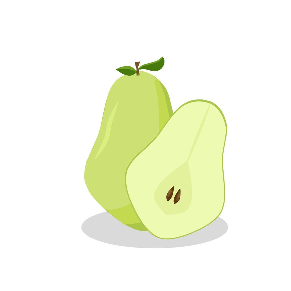 peer fruit illustratie. peren pictogram. fruit vector
