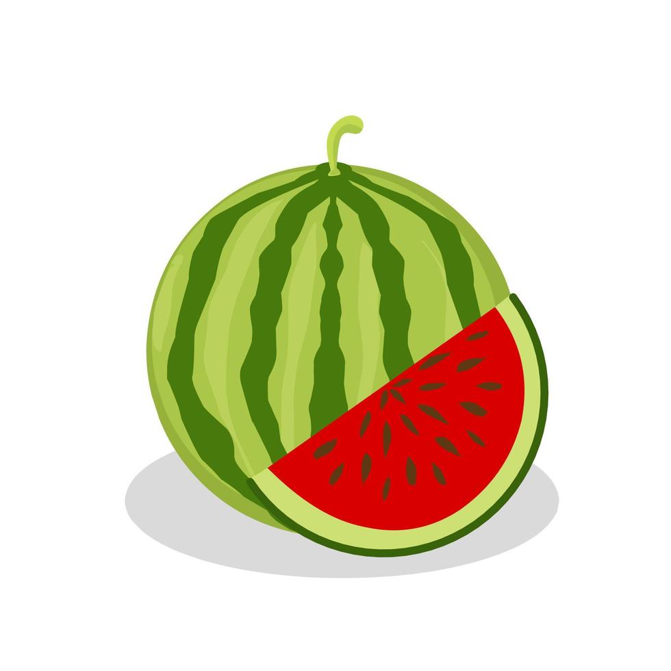 watermeloen fruit illustratie. watermeloen fruit icoon. fruit vector