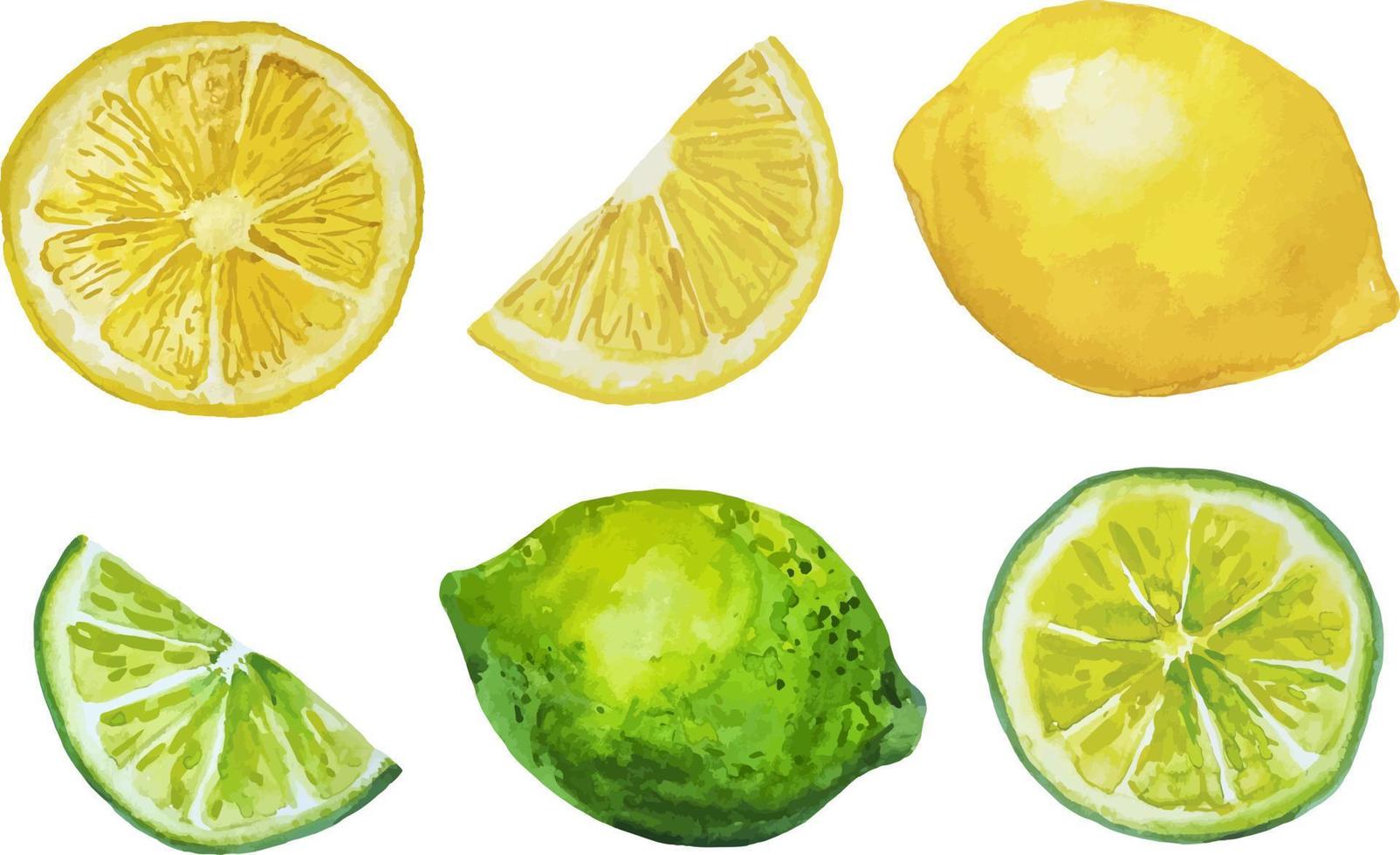 aquarel handgetekende set gele citroenen en groene verse limoenen clipart vector