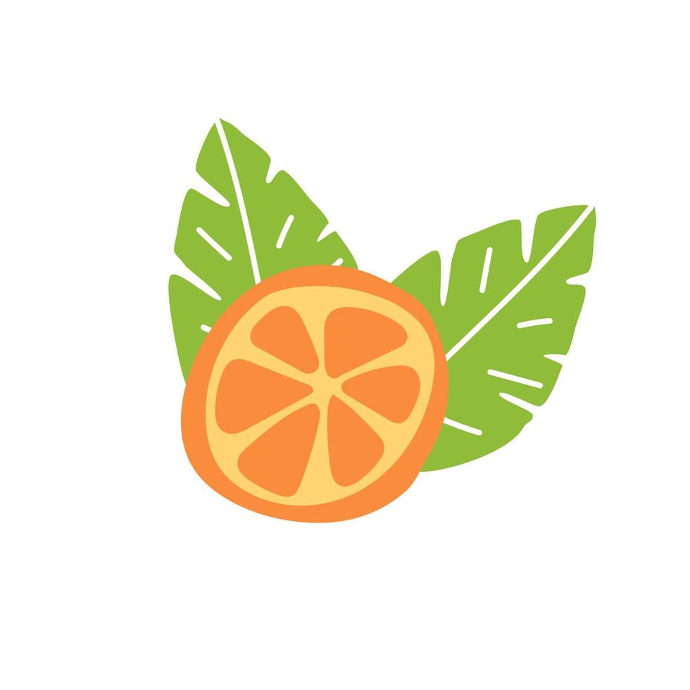 oranje fruit, plak en bladeren. doodle handgetekende vectorillustratie vector