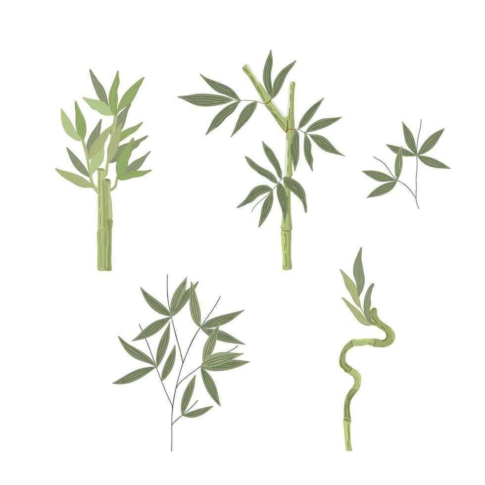 bamboe planten instellen eenvoudige vlakke stijl vectorillustratie, traditionele Japanse plant, oosterse decoratieve sieraad voor textielontwerp, stoffen, home decor, zen concept vector