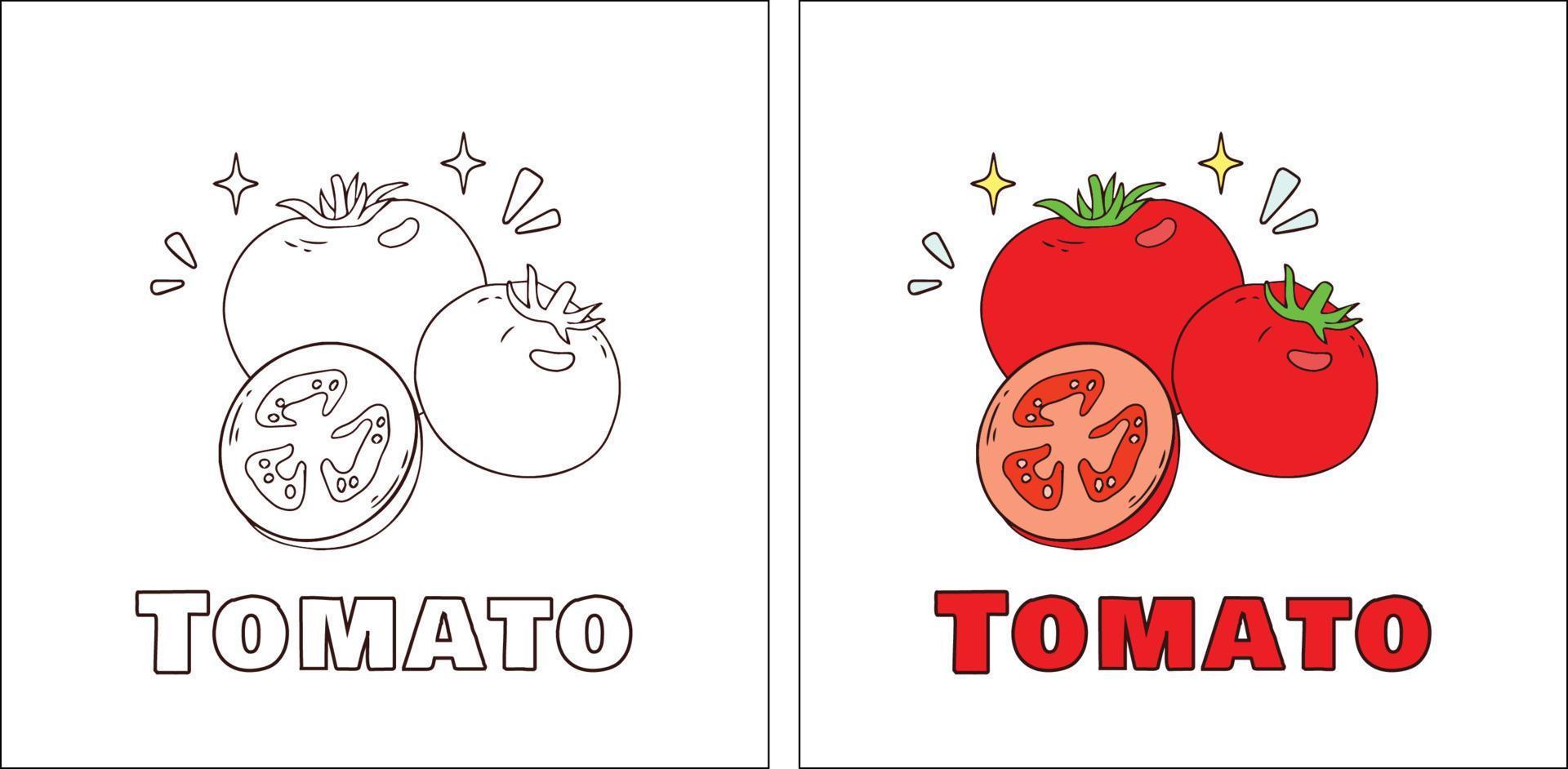 a voor tomaat handgetekende kleurplaat vector