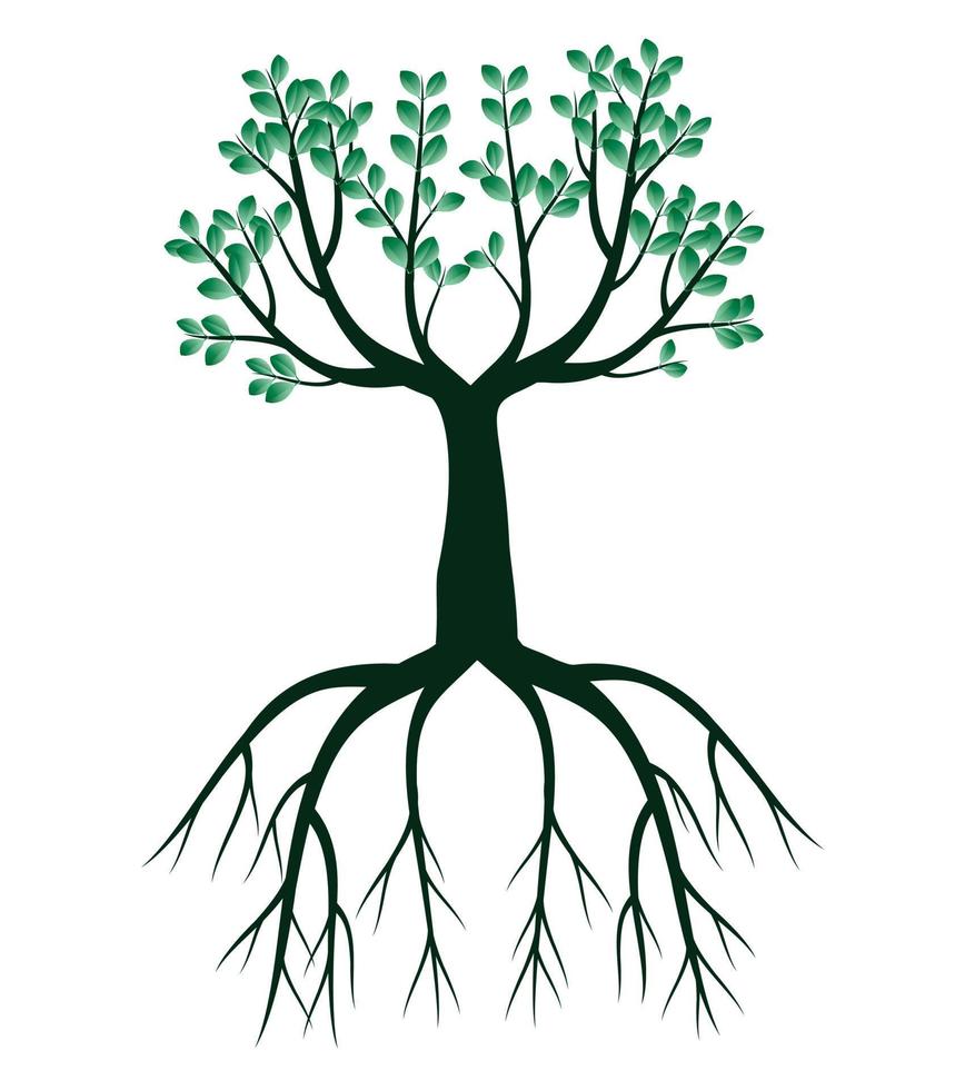 groene lenteboom met wortels. vectorillustratie. vector