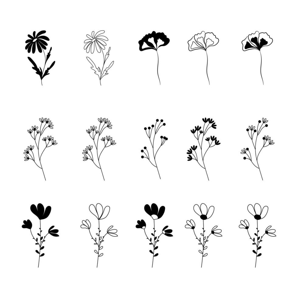 florale elementen en bloemen, twijgen en bladeren set. vector silhouetten van bloemen