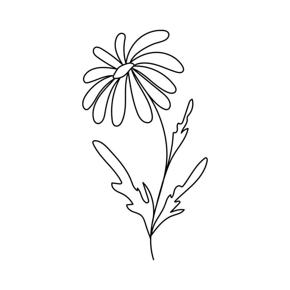 silhouet afbeelding van kamille. vectorillustratie van een bloem. bloemen en planten vector