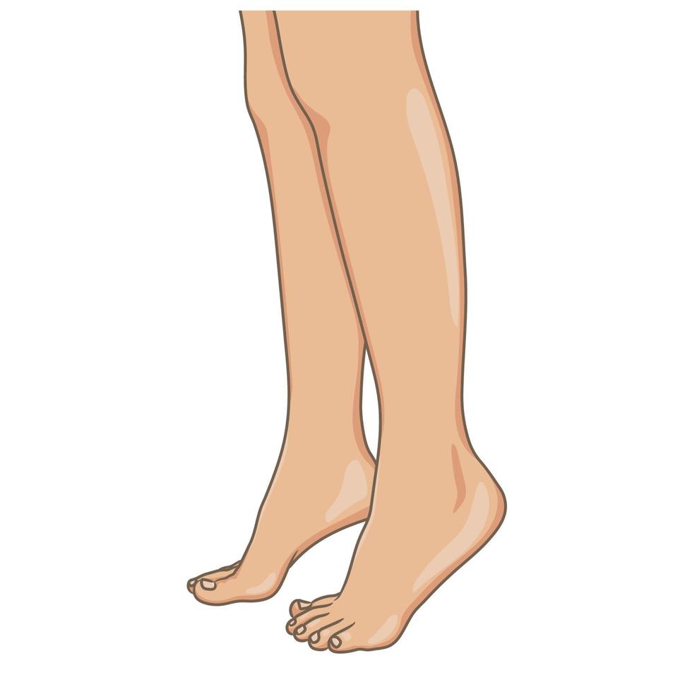 vrouwelijke benen blootsvoets, zijaanzicht. vectorillustratie, met de hand getekende cartoon stijl geïsoleerd op wit. vector