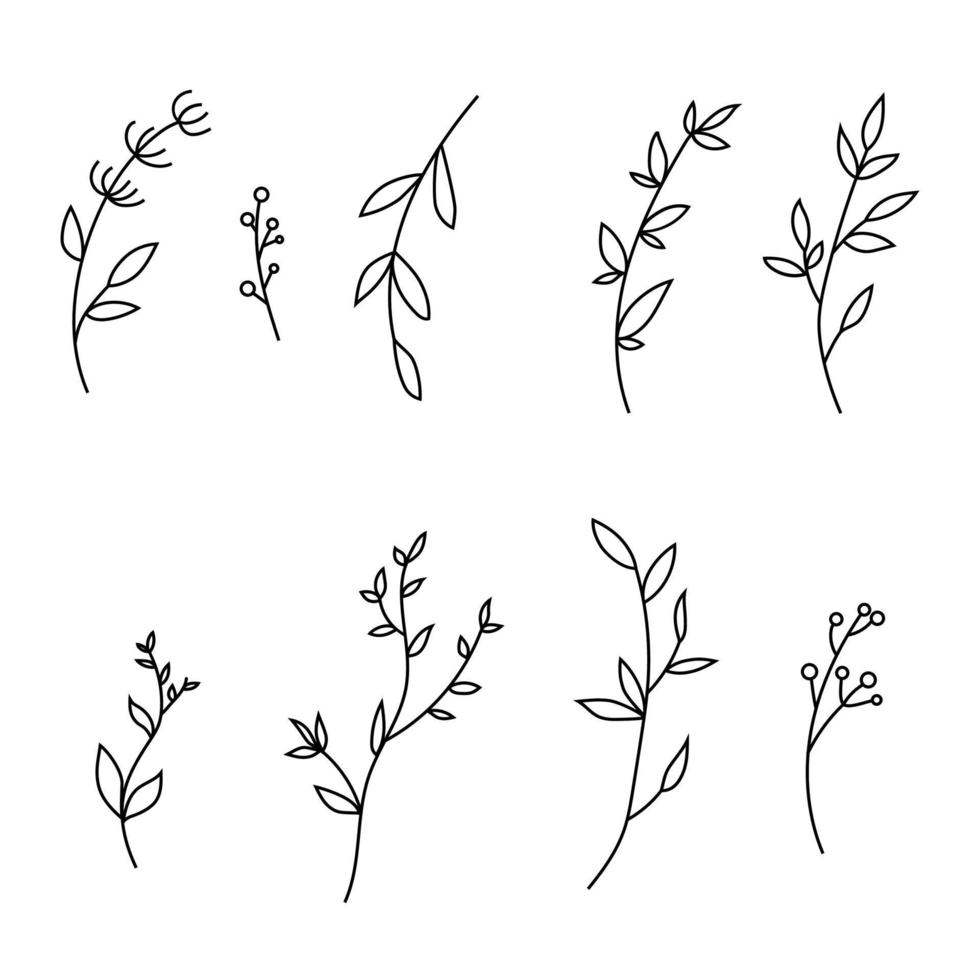 set hand getrokken boomtakken met-bladeren en bloemen op witte achtergrond. vectorillustratie. vector