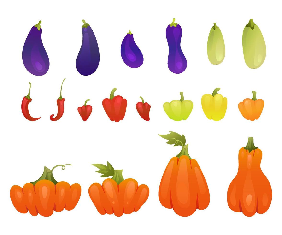 groenten herfst thanksgiving set aubergine, paprika, pompoen, kil. kleurrijke vectorillustratie voor voedselmarkt, veganistisch gezond dieet, menubanner. vector