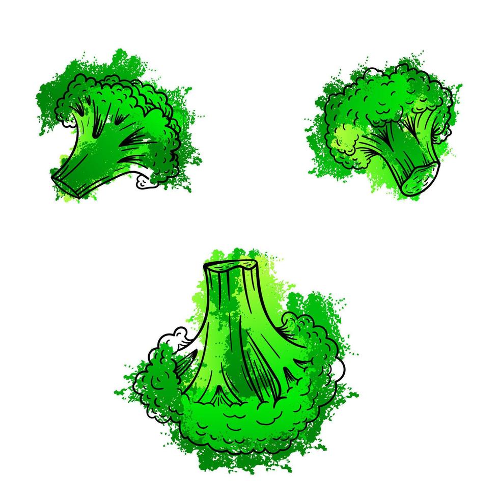 groenten broccoli. hand getrokken schets aquarel schilderen op witte achtergrond. grunge textuur grafische vectorillustratie. vector