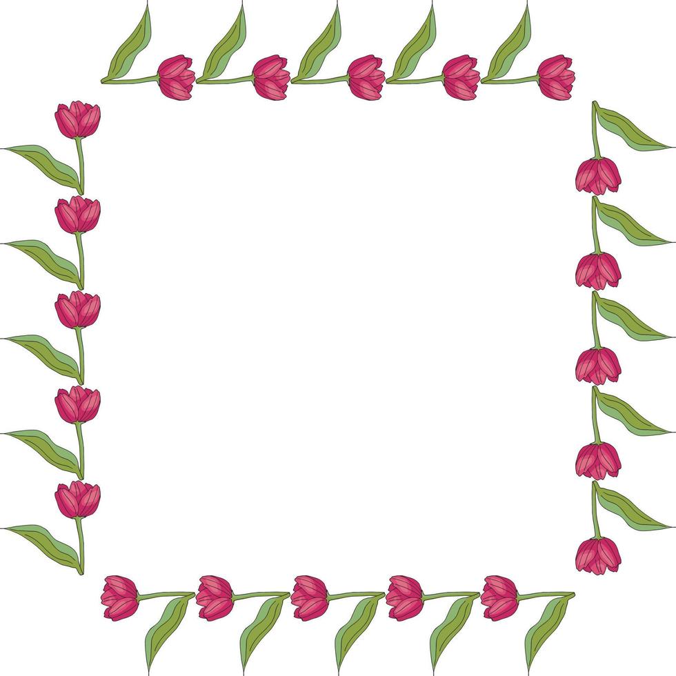 vierkante frame met horizontale bloeiende roze tulpen op witte achtergrond. geïsoleerd frame van bloemen voor uw ontwerp. vector