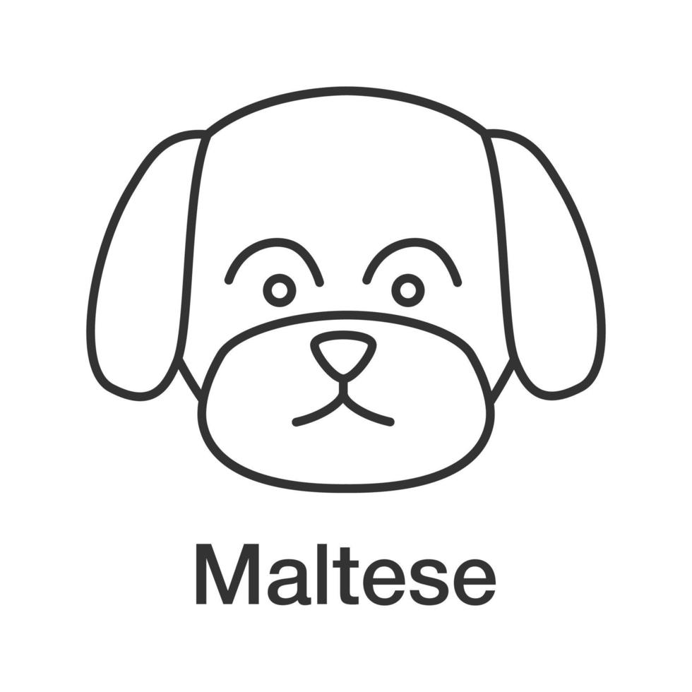 Maltees lineair pictogram. dunne lijn illustratie. speelgoed hondenras. contour symbool. vector geïsoleerde overzichtstekening