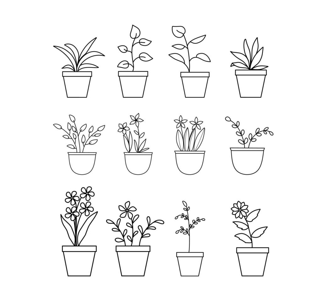 bloem planten collectie vector