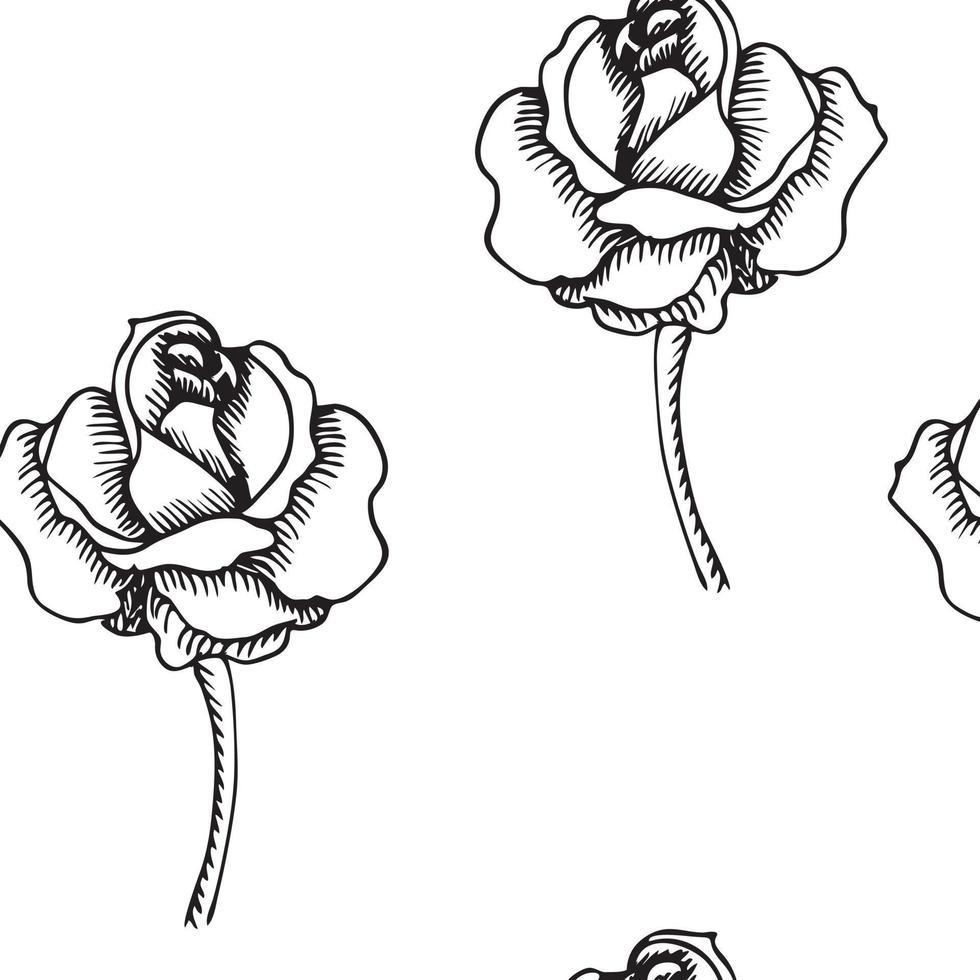 Roos. hand drose bloem. handtekening. patroon. vector illustratie.tekening. patroon. vectorillustratie.