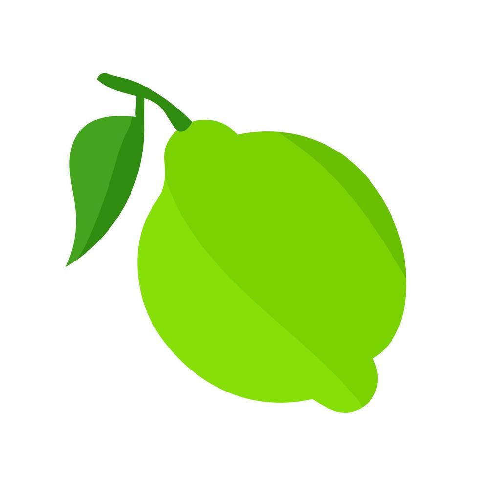 vector botanische illustratie van limoen fruit met groene bladeren geïsoleerd op een witte achtergrond.