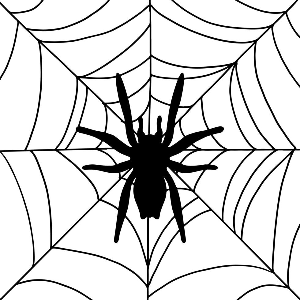 spin op zijn web in doodle-stijl. halloween vakantie concept. zwarte omtrekstijl. vectorillustratie. vector