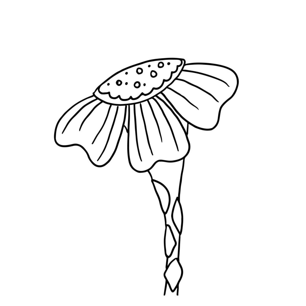 bloem in de hand getrokken doodle stijl. bloemen schets geïsoleerd op een witte achtergrond. vector