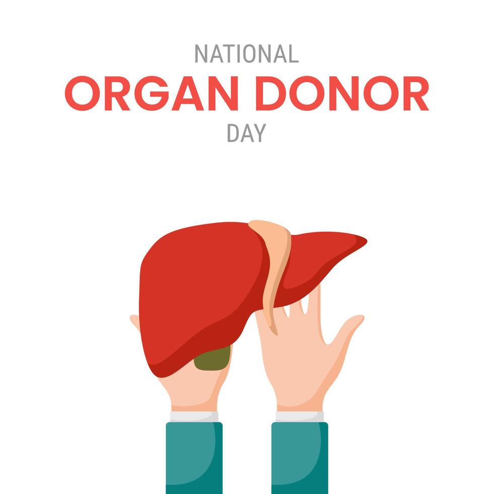nationale orgaandonordag met lever vector