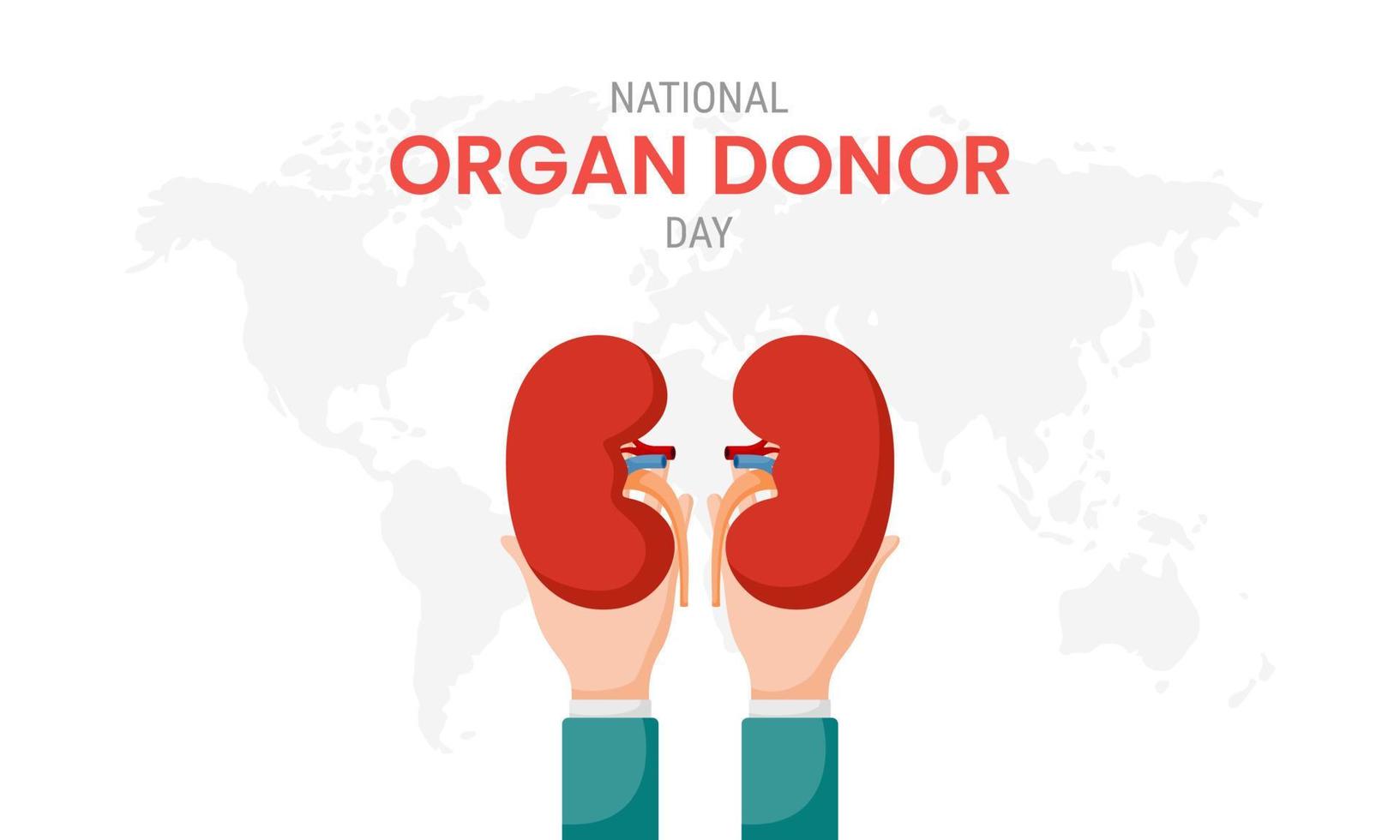 nationale orgaandonordag met nieren vector