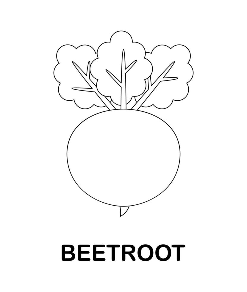 kleurplaat met rode biet voor kinderen vector